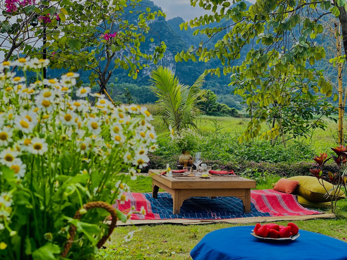 WIXSQUARED's tweet photo. We just received these gorgeous photos from a private picnic lunch that we organised last week for our clients staying at Tam Coc Garden in Vietnam! 🇻🇳 https://t.co/RqtPsoLRon