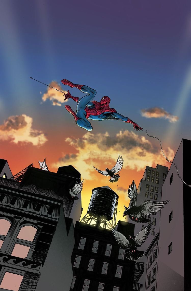 Gol.D.Tempest ⭐️ tweet media