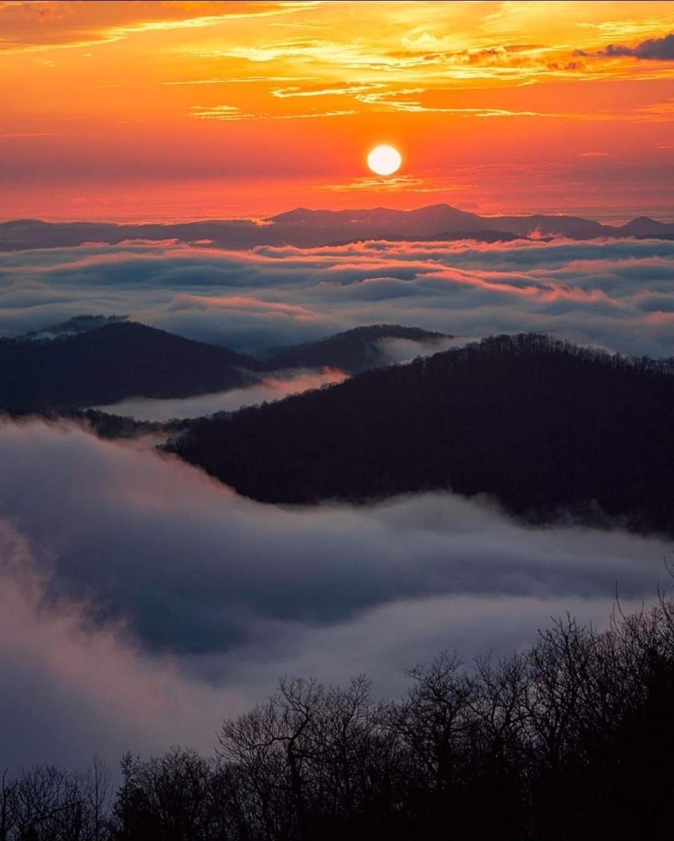 WETHEKINGDQMQ98's tweet photo. Sugar Clouds π― Appalachian Mountains.
πΈ : @andre.daugherty.photo
#blueridgemoments #romanticasheville #wnc #visitncsmokies #828isgreat #blueridgemountains #blueridgeparkway #playonjacksoncountync #visitasheville #northcarolinamountains https://t.co/3AXyFRSzME
