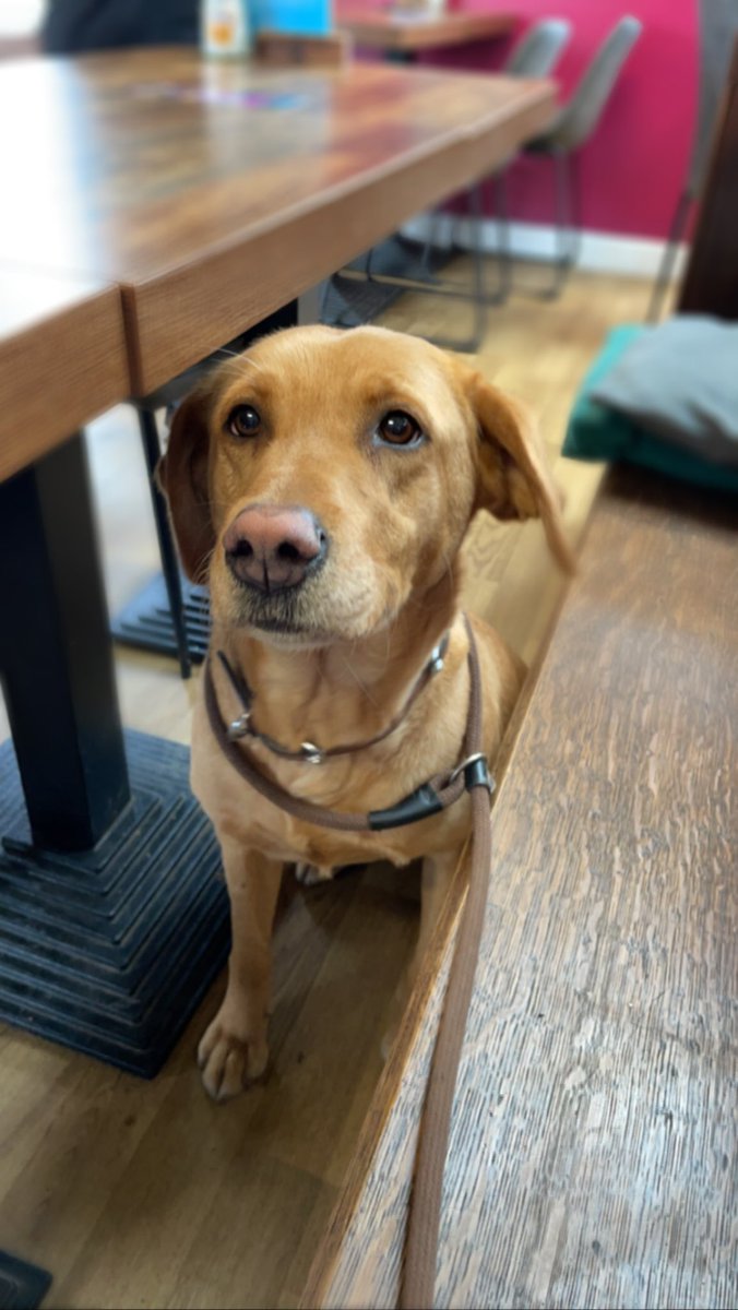 Eleanor Durdy tweet media