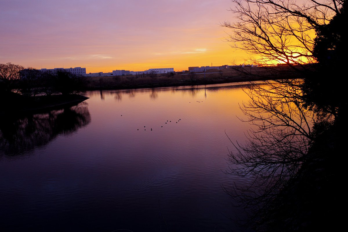 akano_naoki's tweet photo. The birds are still sleeping.
Arakawa River, Japan

#tokyo #japan #landview
#風景写真 
#写真撮ってる人と繋がりたい
#カメラ好きな人と繋がりたい
#ファインダー越しの私の世界
#キリトリセカイ
#tokyocameraclub https://t.co/8Xo0DFWABY