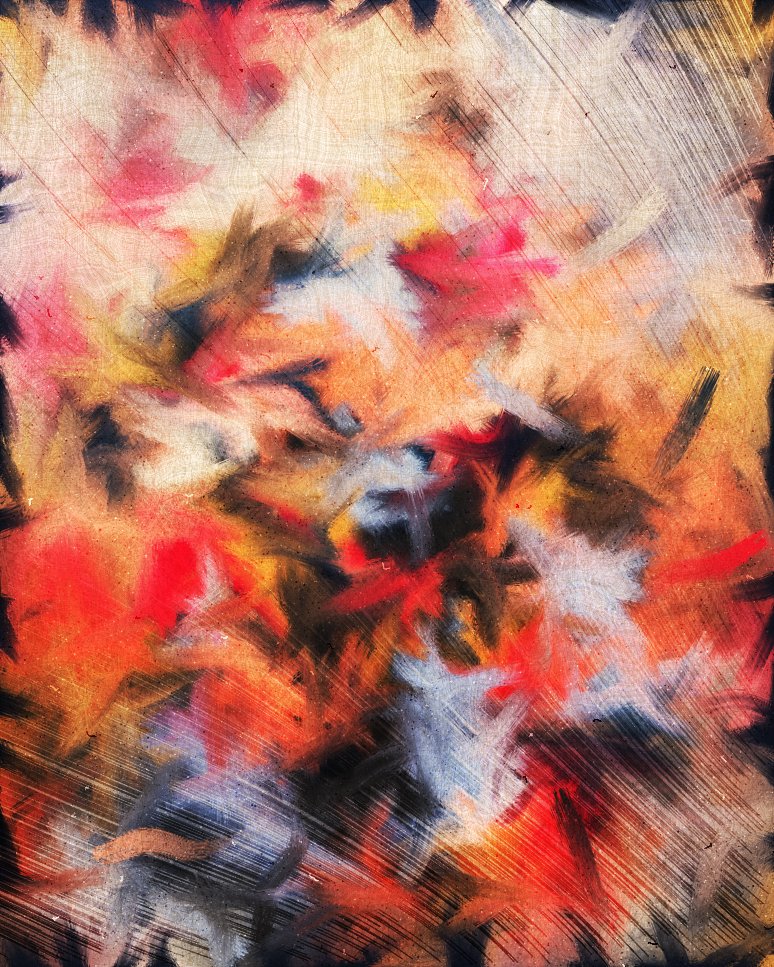 Melissa Wiederrecht tweet media