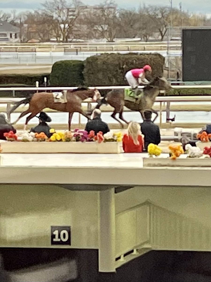 Fun day <a href="/TheNYRA/">NYRA (🗽)</a> #AqueductRacetrack showing <a href="/GAofNYC/">Guides Association of NYC</a> guides New York City #Thoroughbred racing.  Fan club for #Ziaerati aka FancyFace 2020 <a href="/millridgefarm/">Mill Ridge Farm</a>! And the #GothamStakes was wild!