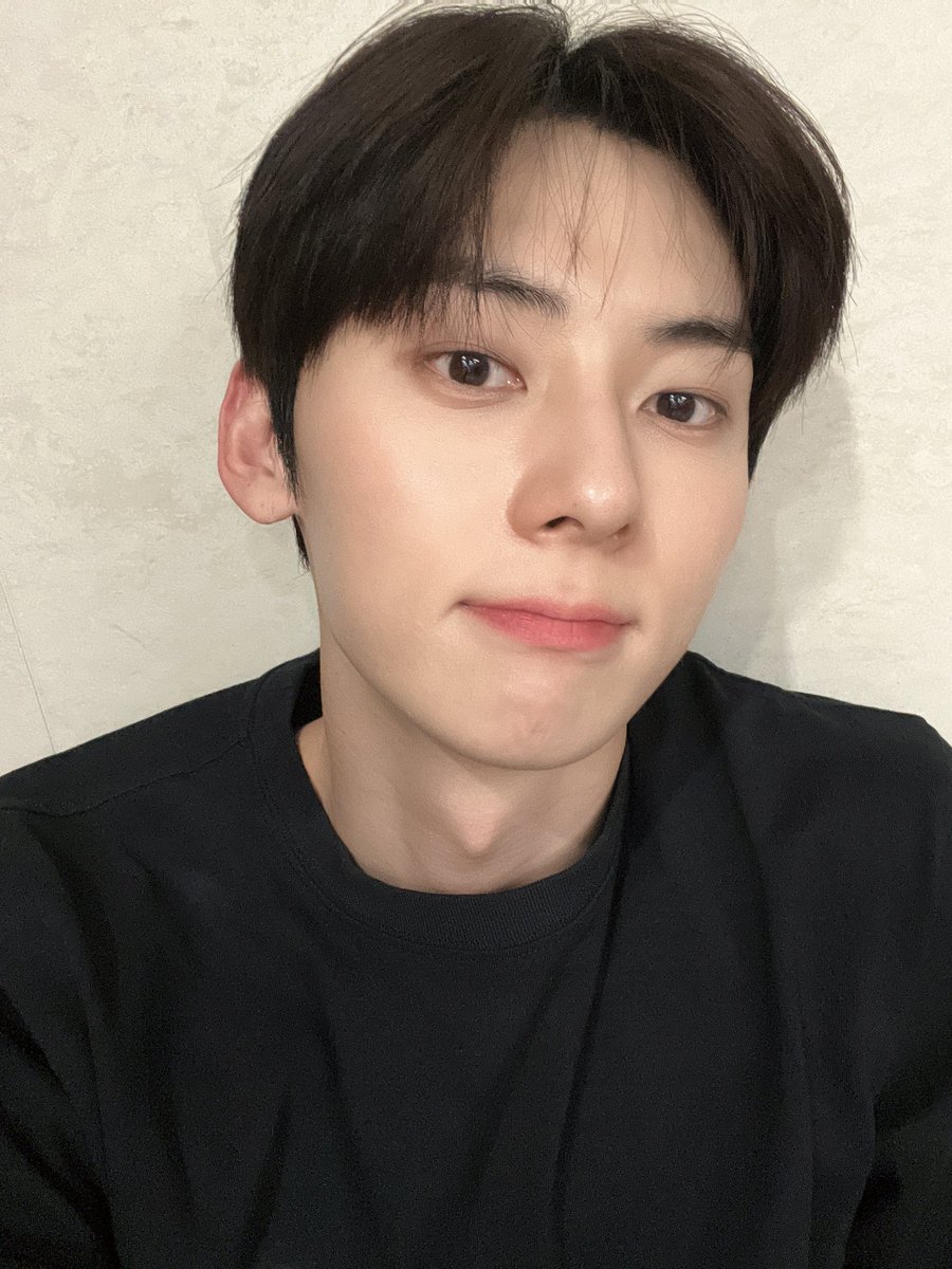 디어 tweet media
