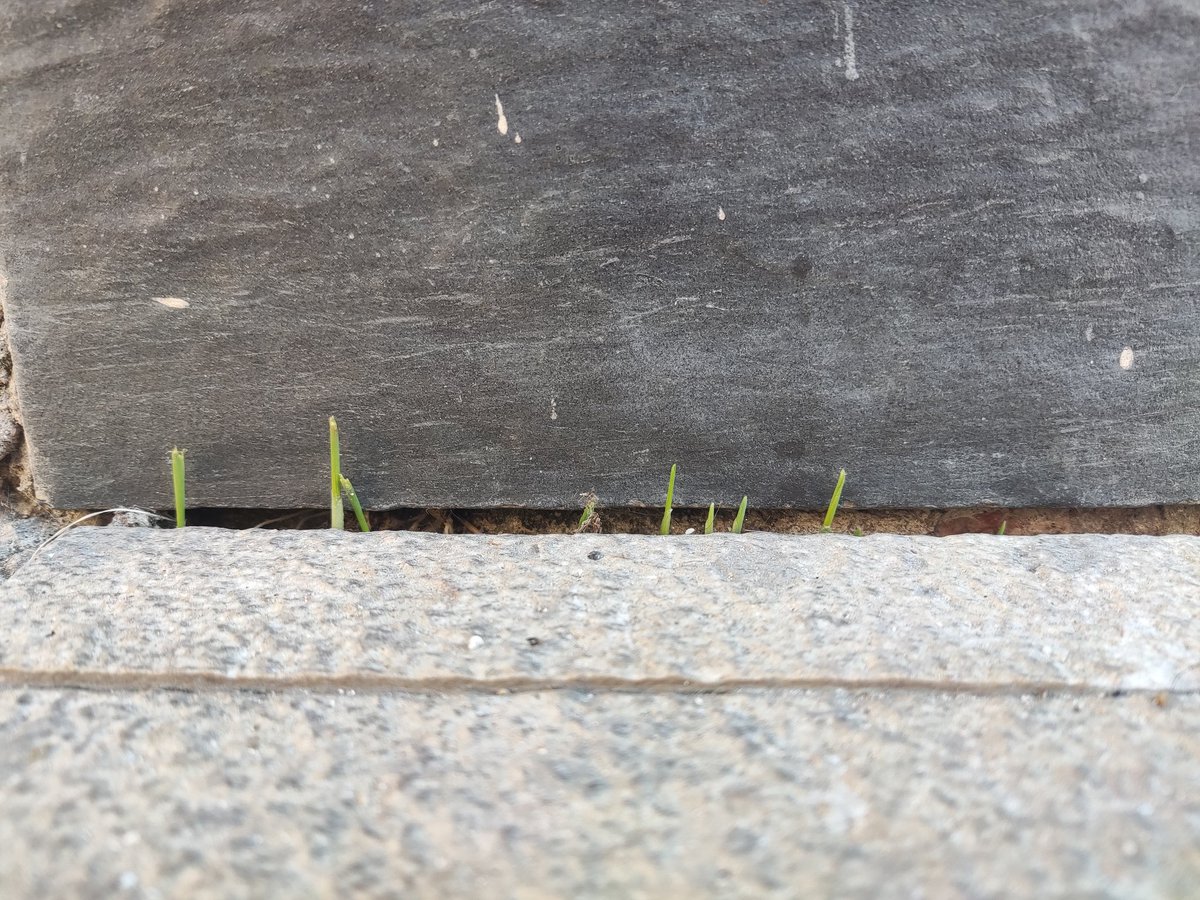 Ja hi som! #VestigisDeCarnaval del <a href="/VIDALOT_VNG/">VIDALOT</a> !