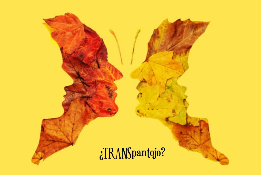 Trampantojo=técnica pictórica que intenta engañar a la vista consiguiendo una «realidad intensificada» o «sustitución de la realidad»¿Es sexista el concepto identidad de género? ¿Cómo afecta a las mujeres la ley trans? ¿Y a los transexuales? ¿Transpantojo?
podcasters.ivoox.com/#/episodes/104…