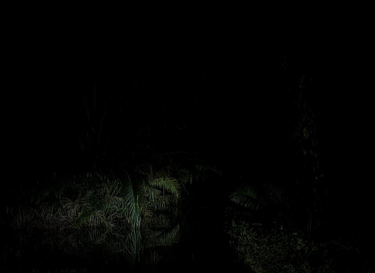 HezeriSamsuri's tweet image. Jalan rally, terima kasih Waze. Kau memang biul. Jalan kandang babi kau suruh aku lalu. Dah la sempit, gelap. Tak ada manusia. Lepas 8 km aku redah, tetiba jalan mcm dah putus - mcm ada gaung. 

Rupanya …