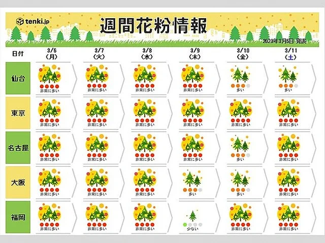まだピークじゃなかった！東京のスギ花粉はまだ予測最大値の５％！