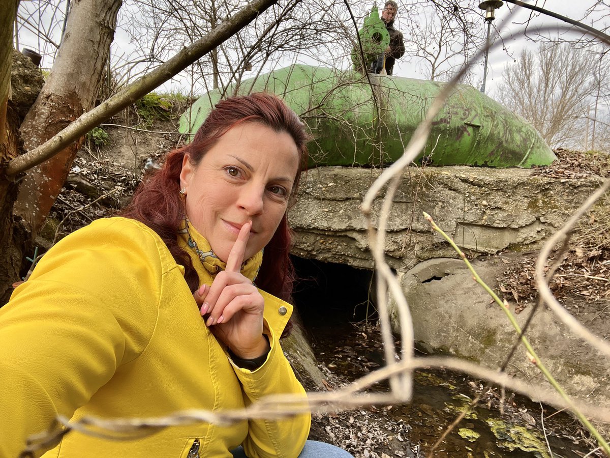 adromelke's tweet photo. #GISH #GAFWHES #Frod Hungary joins the froggo homebuilding. #bridgewater is a suitable name for my hotel ‘cause there is a bridge and some water. 😃🐸 https://t.co/K6A1bE9Xxo