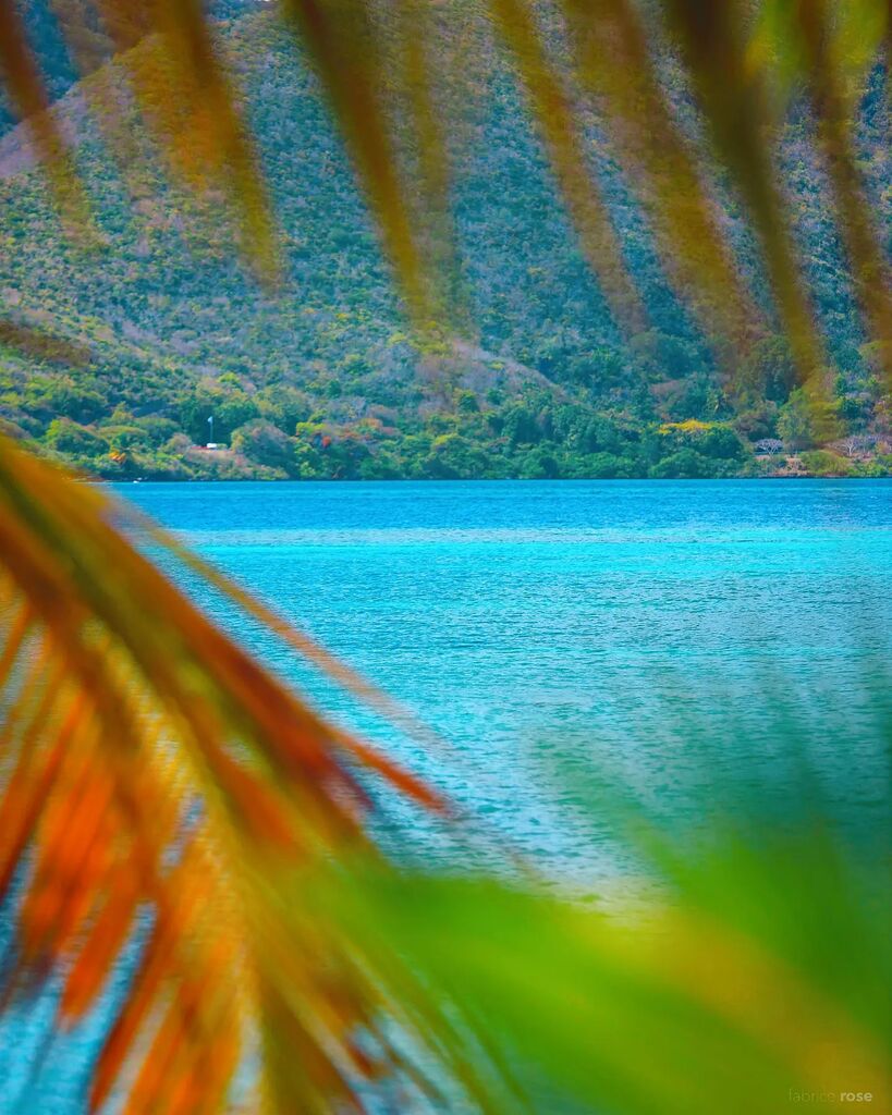Petite fenêtre de Paradis 😊
Et dire que c'est chez moi...

#martinique #madinina #martiniquetourisme #sainteanne #antillesfrancaises #canonfrance #domtom #ig_martinique #madinina #explorefrance #westindies #colorfullife #natureloversofinstagram #beau… instagr.am/p/CpaDHcRs5kW/