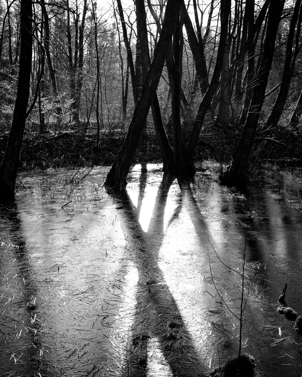 dan23freedom's tweet photo. Frozen Reflections

.

.

📷 1/200 sec at f/6,7, ISO 125, 35 mm (28-75mm) #dan23freedom
#monochrome #blackandwhite #bnwmood #noir #frozen #winter #wintervibes #winterwalk #riverwalk  #river_magic #waterreflection #reflections #ilovetrees #tree_magic #explore #trekking
#love https://t.co/MoMxIO3TZh