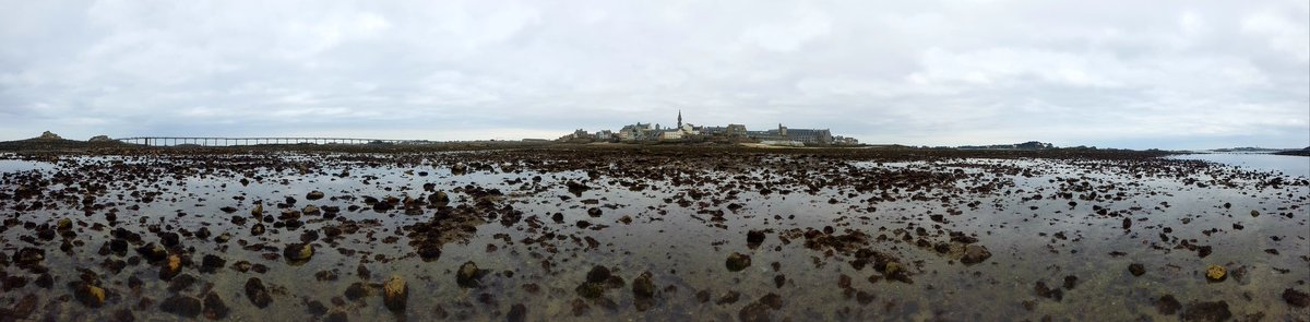 Low tide <a href="/SBRoscoff/">Station Biologique de Roscoff</a>