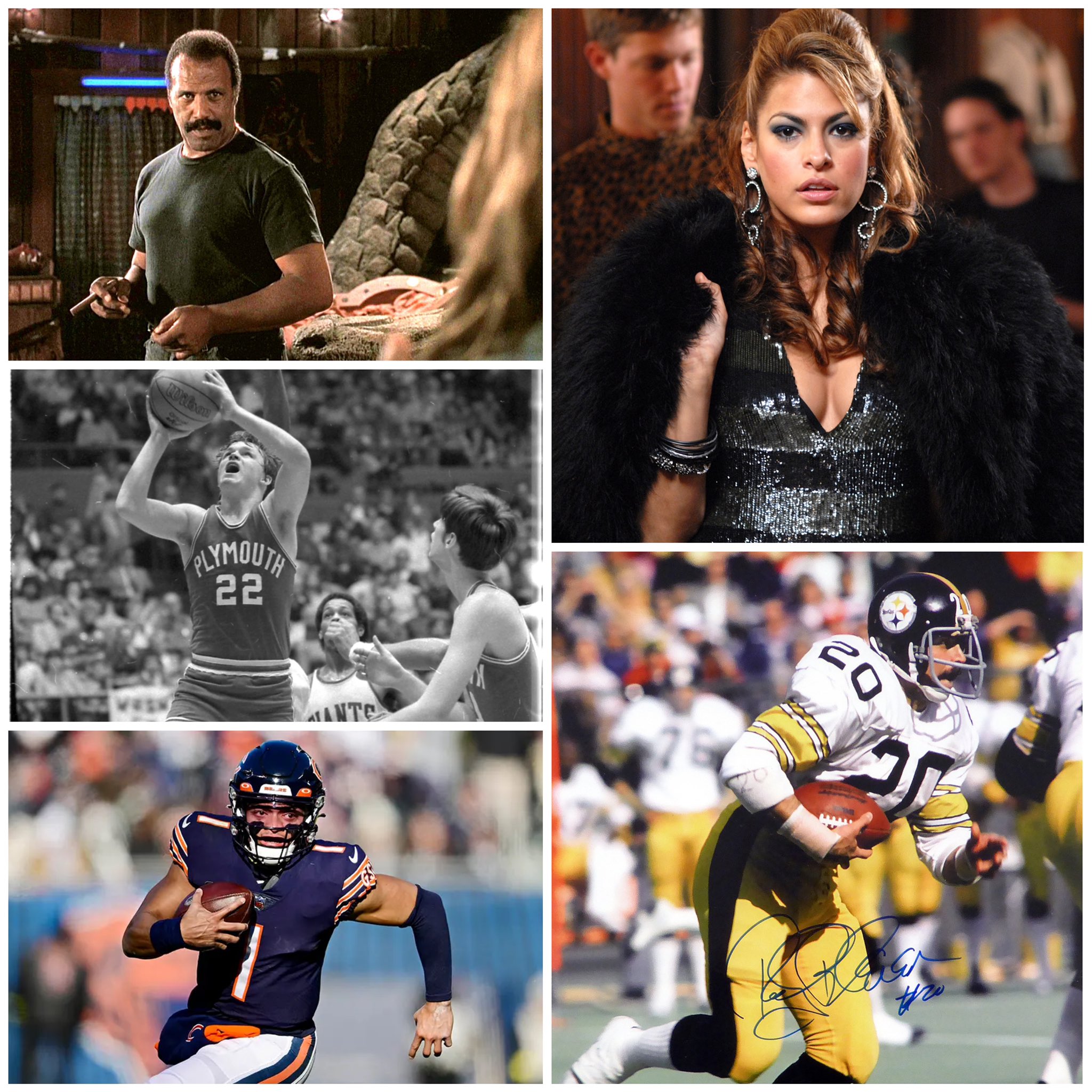 Happy Birthday to 

Rocky Bleier 
Fred Williamson 
Eva Mendes 
Scott Skiles 
Justin Fields 