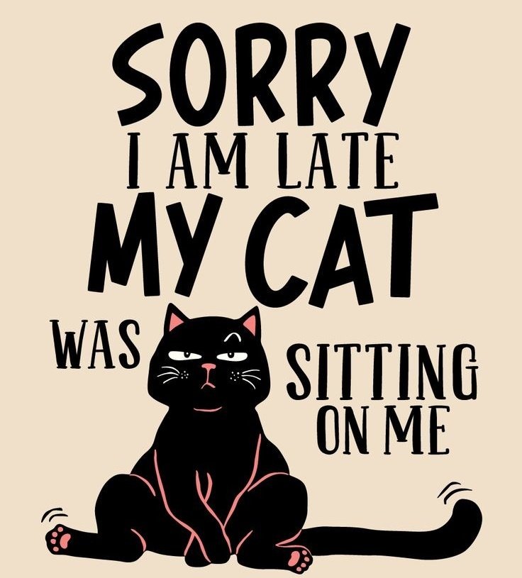 <a href="/MissyBBBobtail/">For the love of Missy.</a> Good morning. Happy Sunday ! 🐾💞🐾