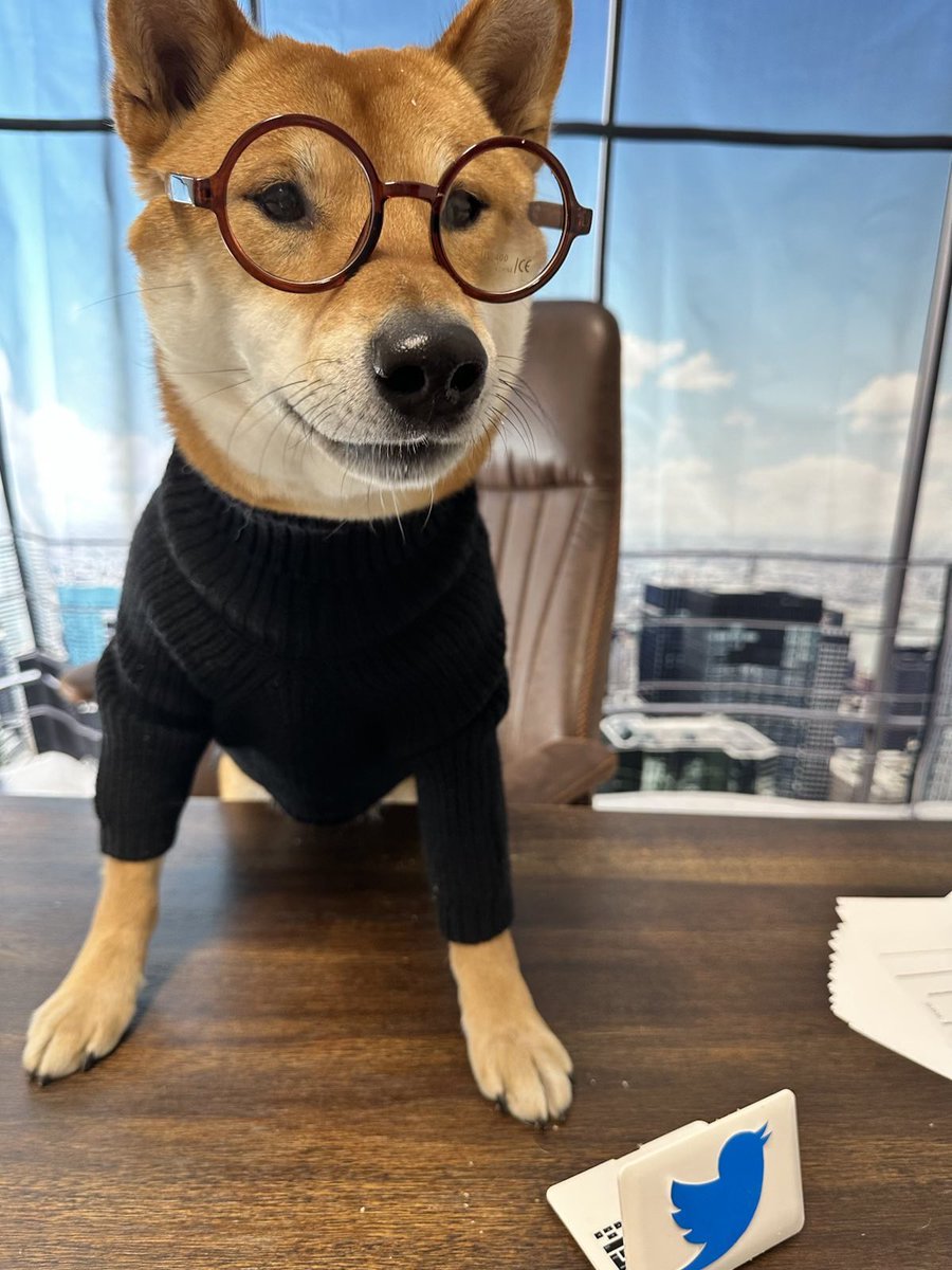 DogeDesigner tweet media