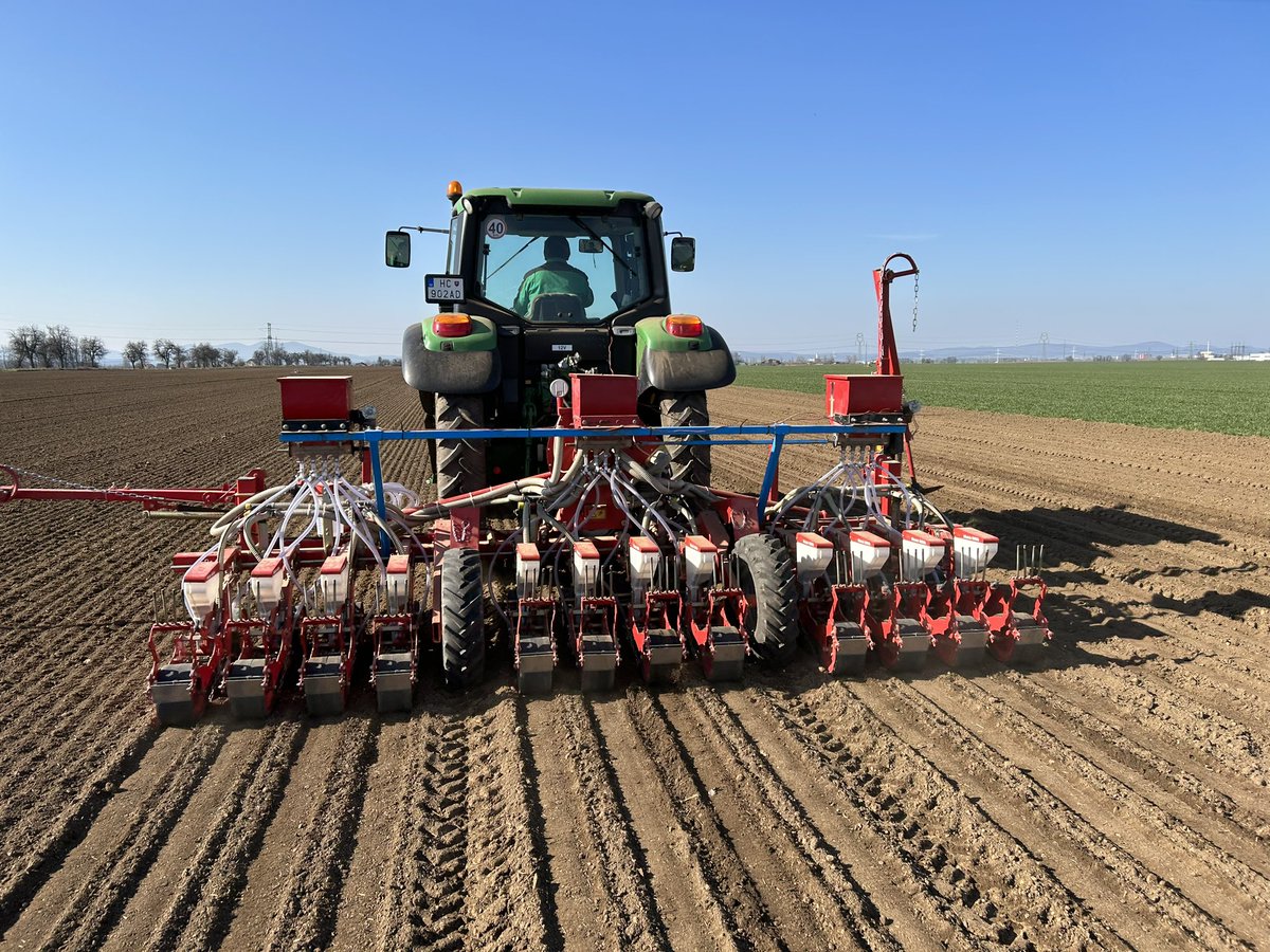 Afgelopen donderdag de uien gezaaid <a href="/DeGrootenSlot/">De Groot en Slot</a> #Tamara #Crockett #Geprimed