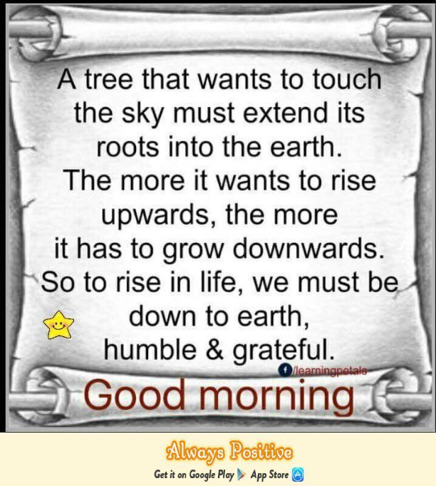 MissGullahDiva's tweet photo. Have a bless and beautiful day all enjoy https://t.co/rt4kAADjkB