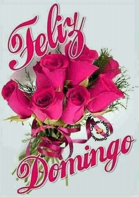 Buen día, con la bendición de Dios saludos y  bienvenidos, con la condición  de  ser recíproco con la tropa familiar @Alberto04170353 
@RedSMtt_Lara
@SRPSBSJ
@soyzoryblanco
@Manuelalbermart
@hectorgaldanap
@kparraduran
@francysmar28
@DougDrom41
@CarmenAntoniaB5 
#YoSoyChávez