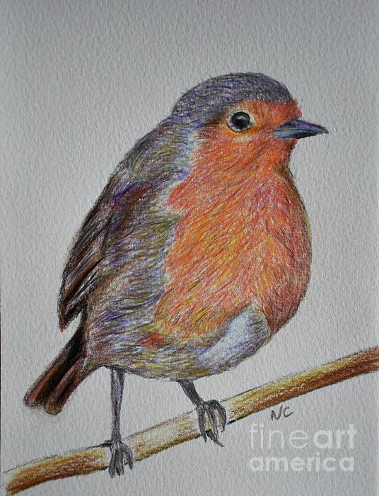 NealCrossan's tweet photo. New artwork for sale! - "Mr Robin" - https://t.co/uscI4m0Ybk @fineartamerica https://t.co/ST5tL5HZN3
