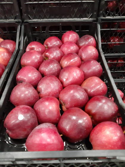 Sevil Engin (@nikeafruit) on Twitter photo 