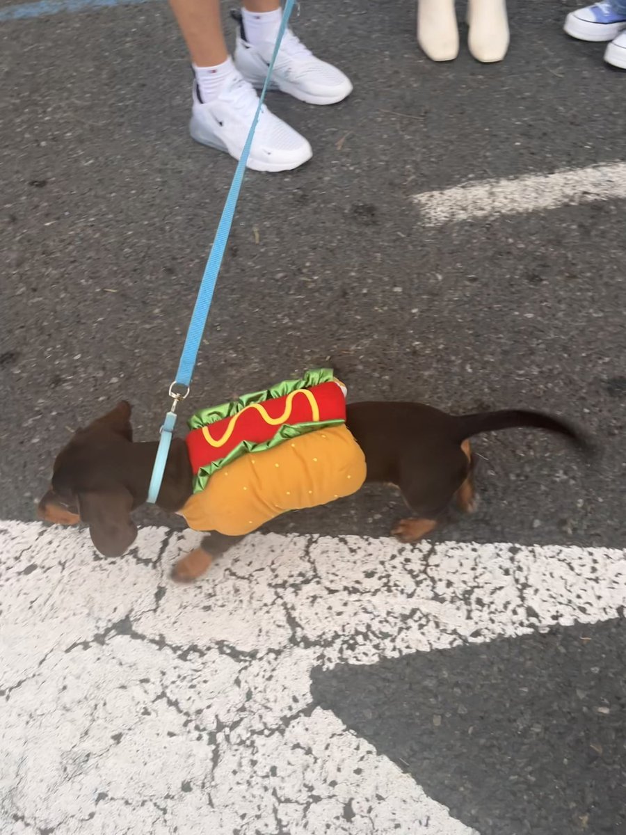 Lo mejor de los carnavales