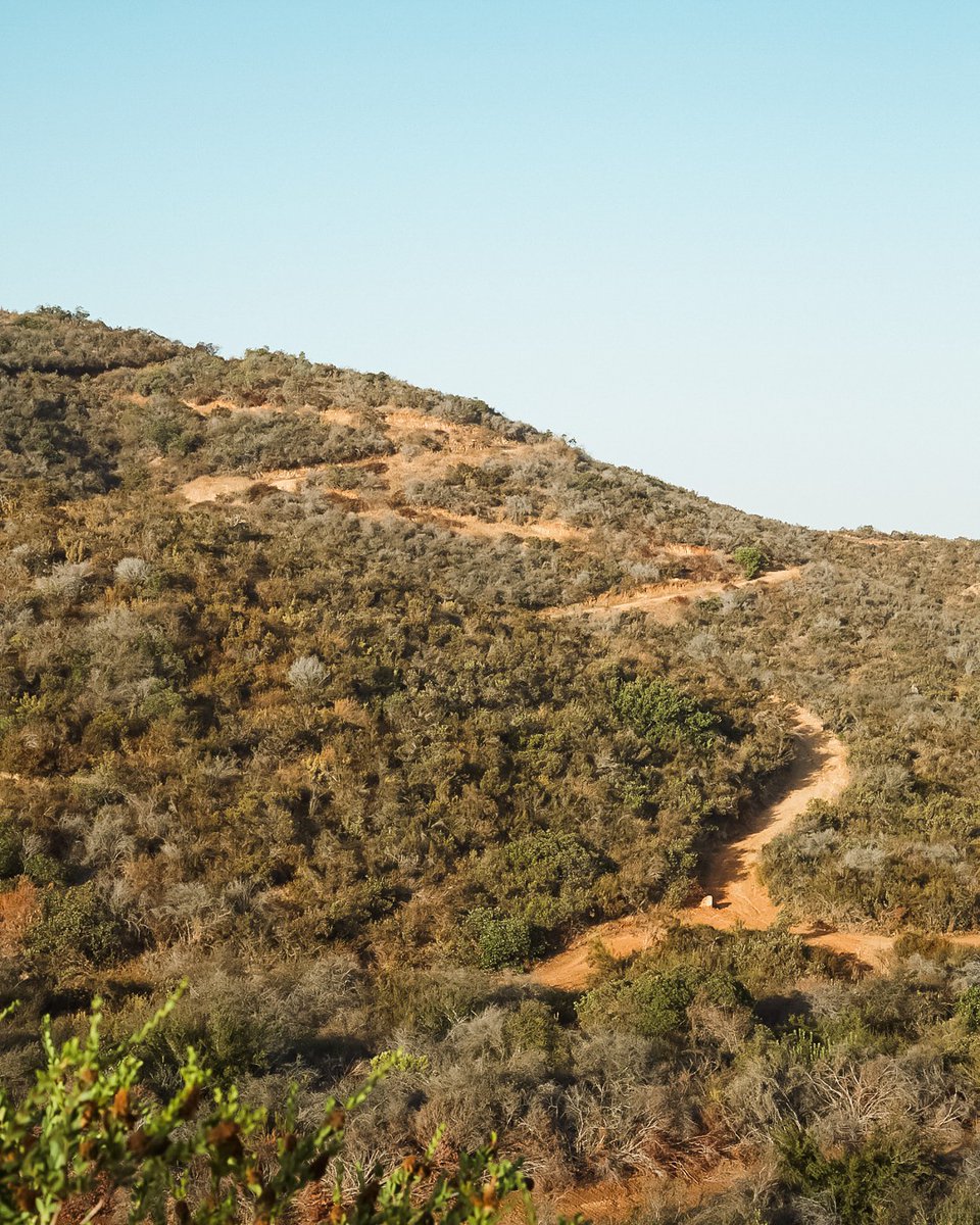 our miles of hiking trails make for a beautiful space to enjoy the stunning views.

#calaviehealthspa #calaviespa #calavie #wellnessretreat #Luxurywellness #spagetaway