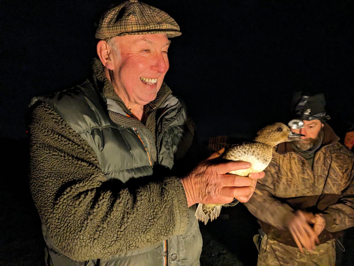 KaneBrides's tweet photo. A great night last night spent on the #RibbleEstuary working with bird ringers & wildfowlers to add more colour-marked Wigeon to #ProjectPenelope. Not your usual Saturday evening & working to the glow of bunting party lights added to the buzz! π¦π‘π https://t.co/FV2zBqkqMh