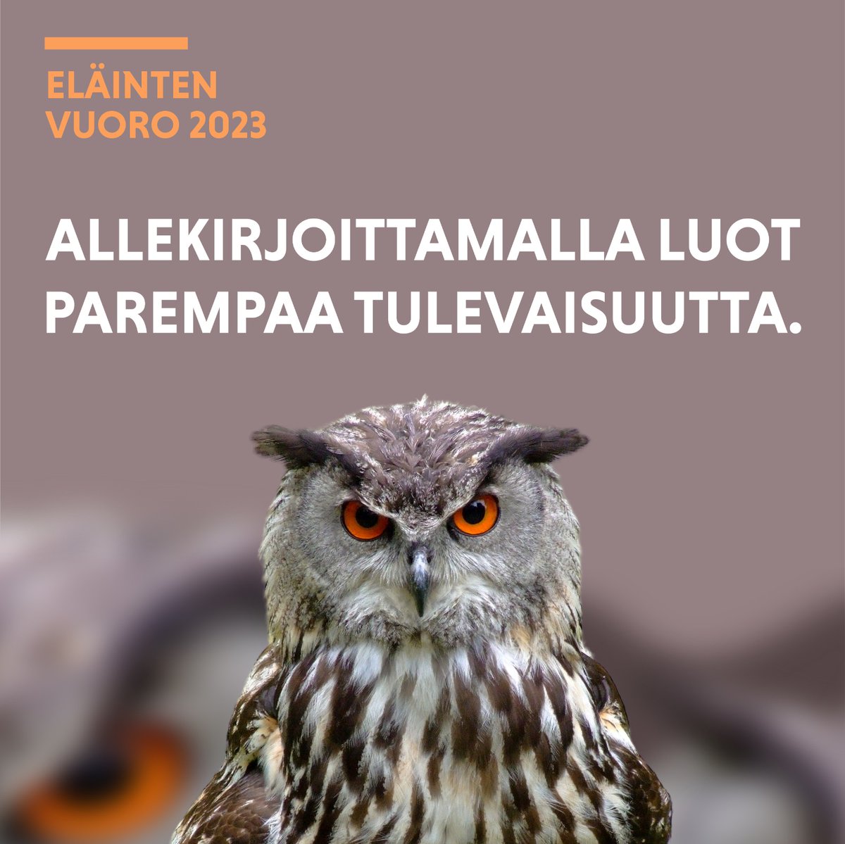 "Oikeusvaltiossa muutos saadaan aikaan lakia muuttamalla, ja perustavanlaatuinen muutos perustuslakia muuttamalla", kirjoittaa Suomen eläinoikeusjuristit ry:n puheenjohtaja <a href="/BirgittaWahlber/">birgitta wahlberg</a> 
 
Lue blogi ja allekirjoita aloitteemme: elaintenvuoro.fi/allekirjoittam…

#EläintenVuoro2023
