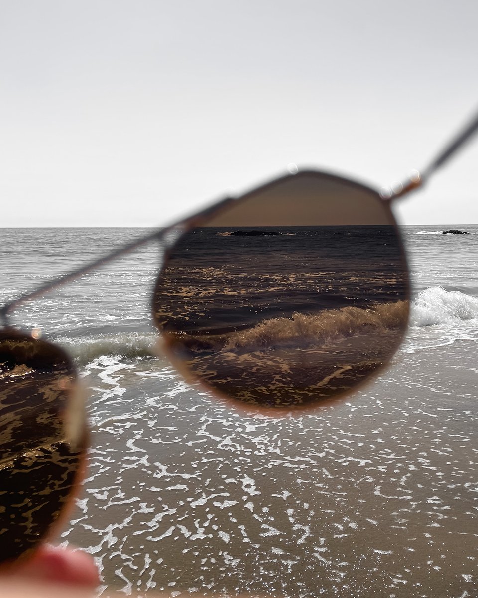 Monica Richards tweet media