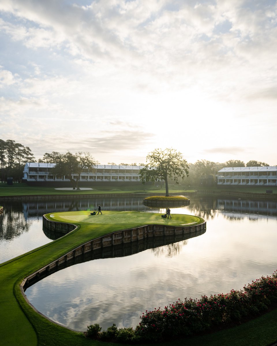 Good morning!

#THEPLAYERS
