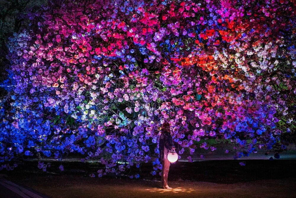 幻想的！新宿御苑に「Naked」ライトアップが参上！