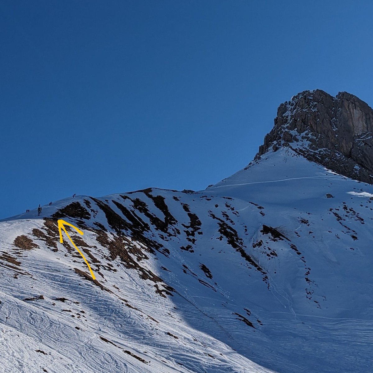 Hier links sieht man ein Rudel Gemeine Bußjäger beim Aufstieg auf das Auenfelder Horn. Der Grund für die Wanderung ist nicht bekannt, vermutlich ist der Gipfel Balzgebiet.