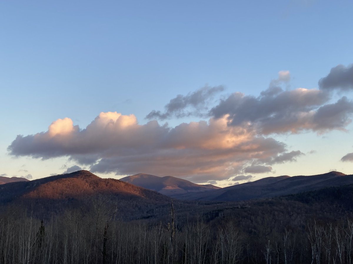 Jane O'Brien tweet media