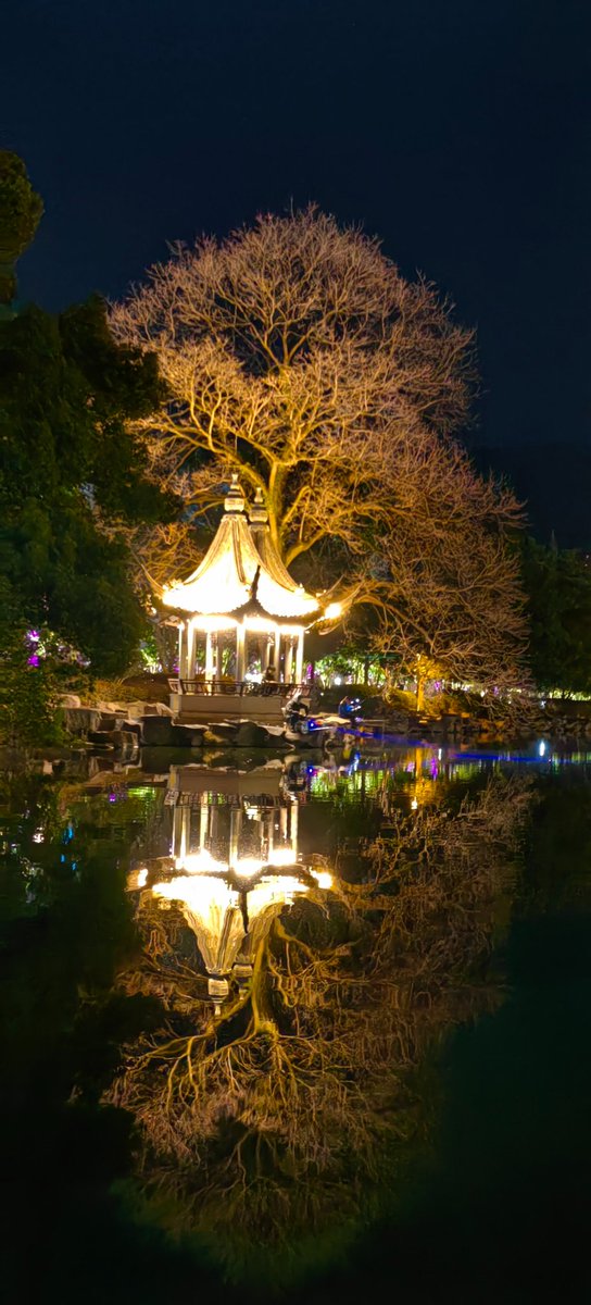 Night of East Lake, Linhai, Zhejiang 东湖夜色 #台州府城 #大美中国 #China https://t.co/vthuFxKInp