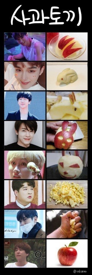 sj_jjaljjal's tweet photo. 71. 사과 토끼 https://t.co/RTNZZEMDBf