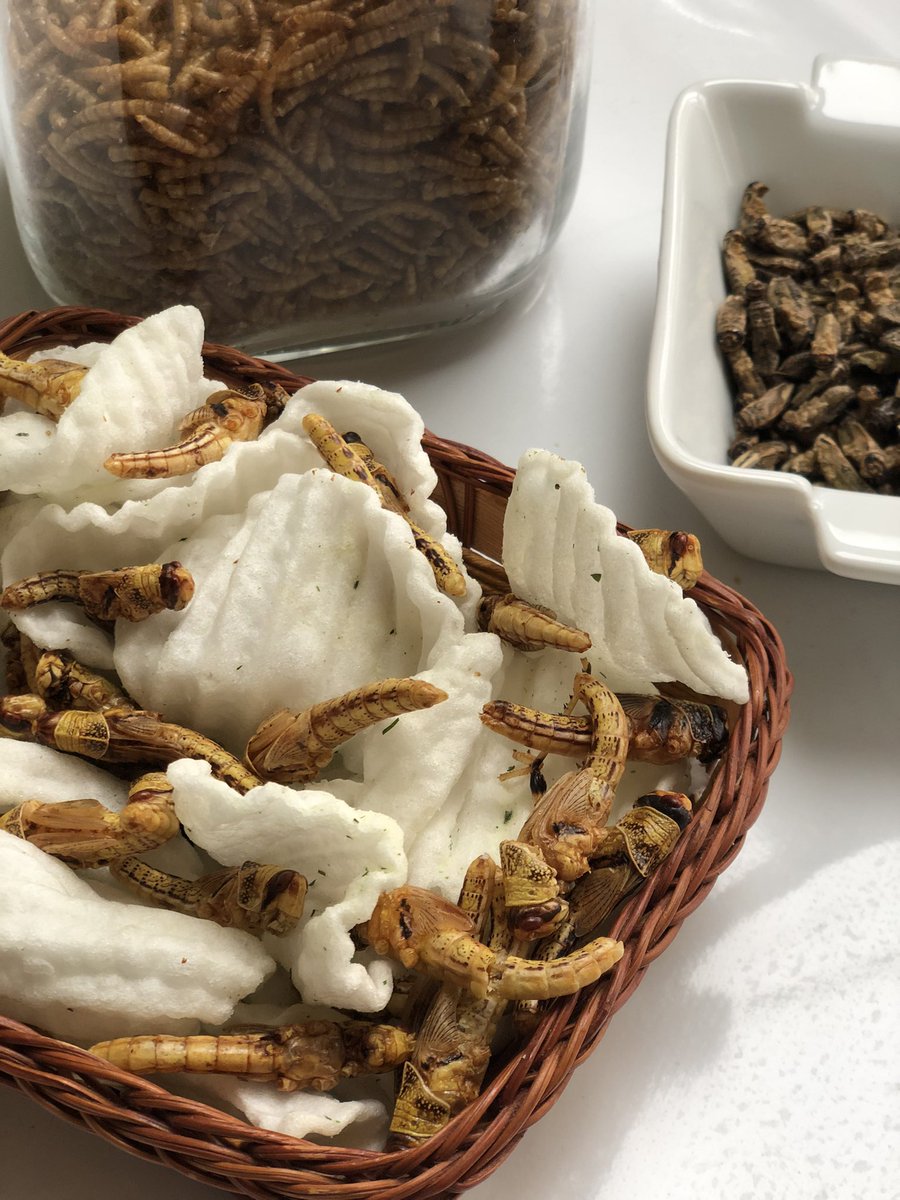 HorizonInsects's tweet photo. Stay healthy with our favourite snacks! Mealworms, crickets and locusts. What’s not to like?

We ship to #London and the #uk 
#stayhealthy https://t.co/lkakjC0ClZ