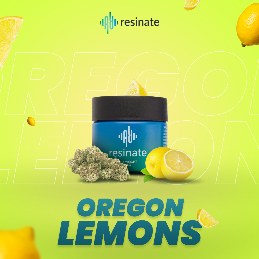 resinatewithus's tweet photo. Staff Pick of the Week! 🍃 
Oregon Lemons Flower 🍋 
"The citrus profile is very delightful, sweet with a taste of lemons. A light indica that's flavorful &amp; best used in late afternoons or evenings." - Tony, GM at Worcester location
#Resinate #OregonLemons #Strain #Flower https://t.co/JP76nx31wj