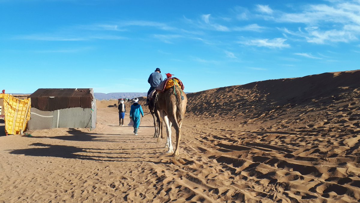 What you say: “Great weekend in the desert, fab on this tour. The staff was super friendly and guided us through the desert like chiefs! The food was excellent. We travelled by camel, and 4x4 into the dunes. Tea and good times!”

#4x4 #cameltrekking #dunes #offgrid #saharadreams