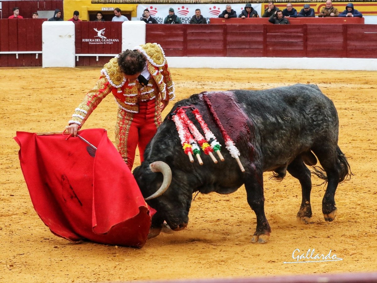gallardotoros's tweet photo. No se puede estar mejor con el @victorinotoros que le tocó en suerte.
Ferrera en maestro. https://t.co/dsi4HlexBR