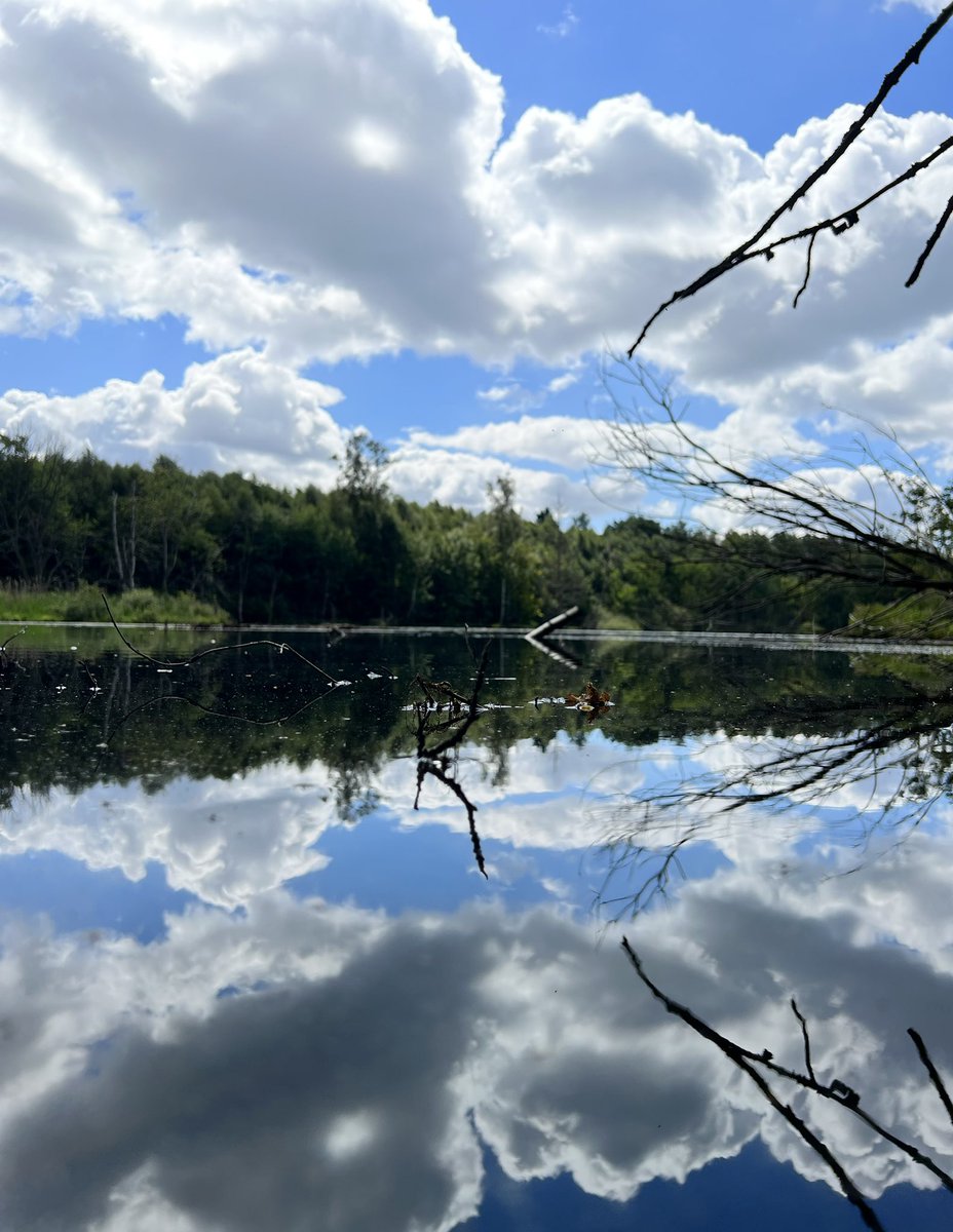 Gm gmgm gm 🌸 Be kind, and grind 🌸