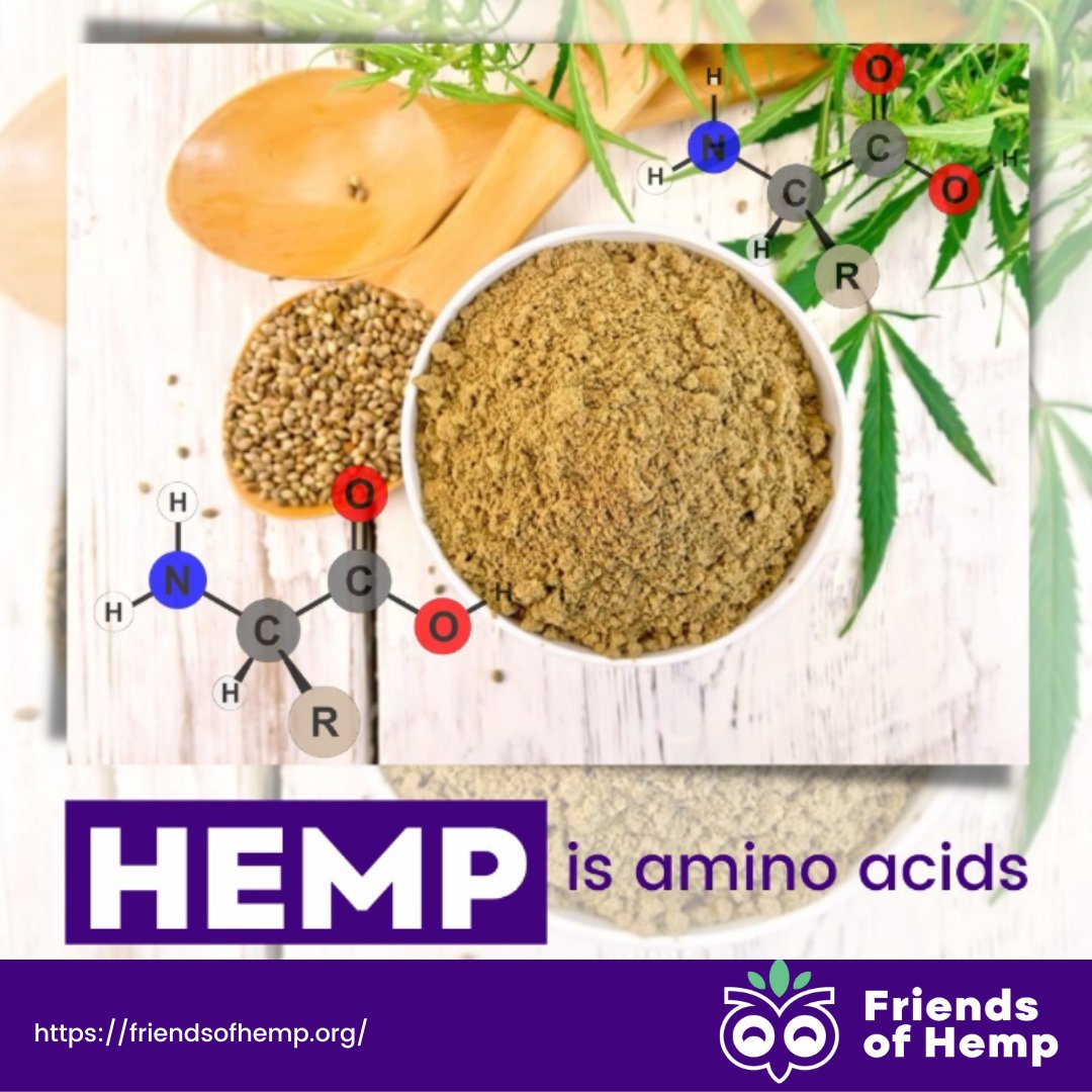 Friends of HEMP on Twitter "Hemp is amino acid. Hemp products contain