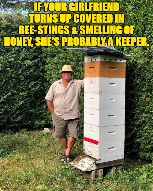 #savethebees