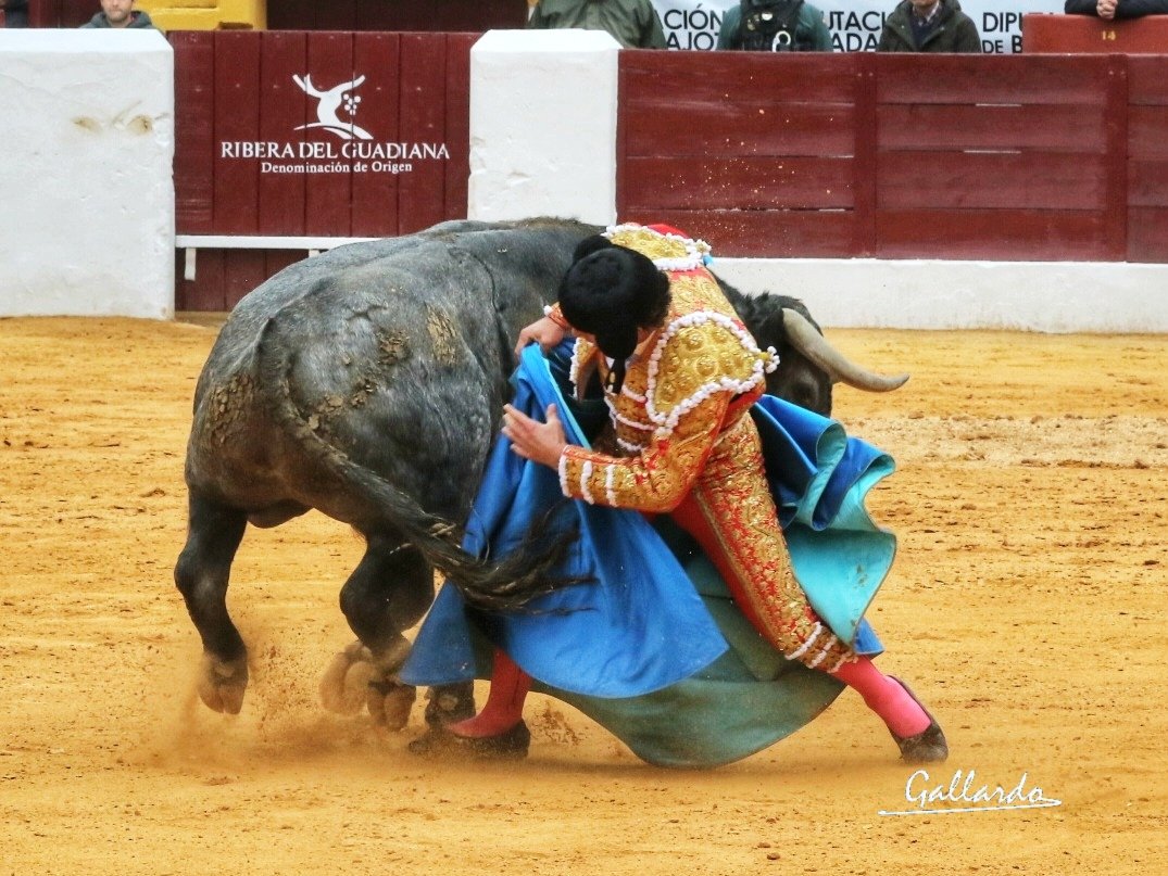 gallardotoros's tweet photo. No se puede estar mejor con el @victorinotoros que le tocó en suerte.
Ferrera en maestro. https://t.co/dsi4HlexBR