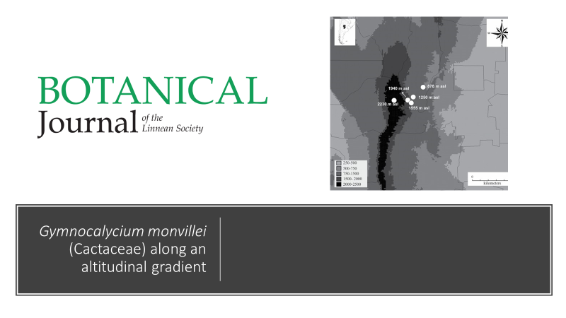 BotJLinnSoc's tweet photo. #Genetics, population features and #ReproductiveSuccess of #Gymnocalycium monvillei (#Cactaceae) along an altitudinal gradient
Bauk, Gurvich, Liber, Šatović &amp; Las Peñas
#PopulationGenetics #Cytogenetics #GenomeSize
https://t.co/tOvvPEq5UW https://t.co/oIK7ThLqXf