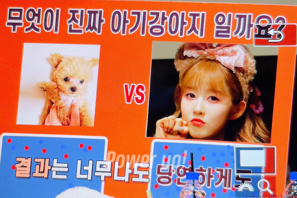 8ower_up1's tweet photo. 230305 
무엇이 진짜 아기강아지 일까요?

“결과는 너무나도 당연하게도���

#스테이씨 #시은 #STAYC #SIEUN https://t.co/IaYgJs41wu