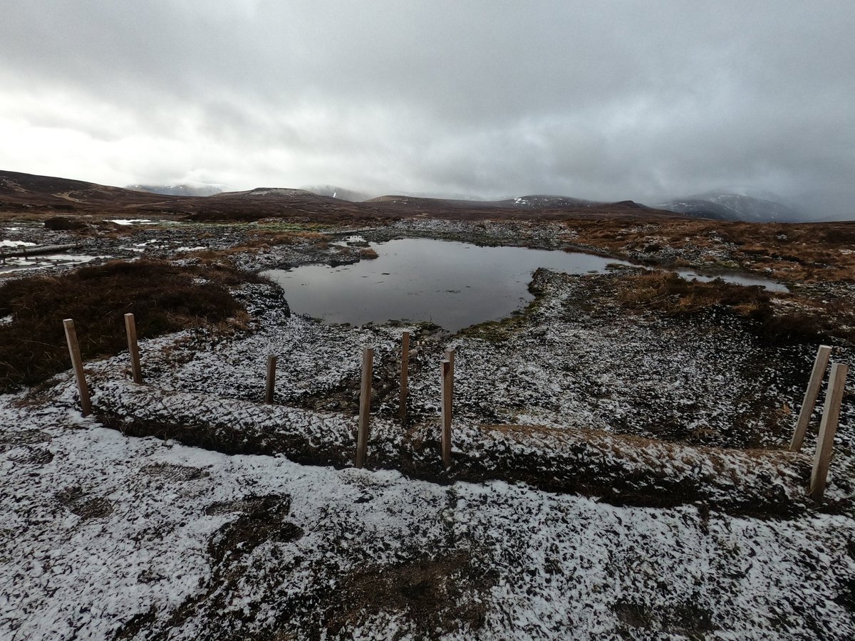 SCRAOnline's tweet photo. Ranger link up between Johnny from @WOLCT and Georgia from @Balmoral_Castle.
A weekend of discussions around visitor management, tree planting to reduce the temperature of rivers, peatland restoration through leaky dams and of course some sweet treats.
#lochmuick #newideas https://t.co/mA2zdxusal