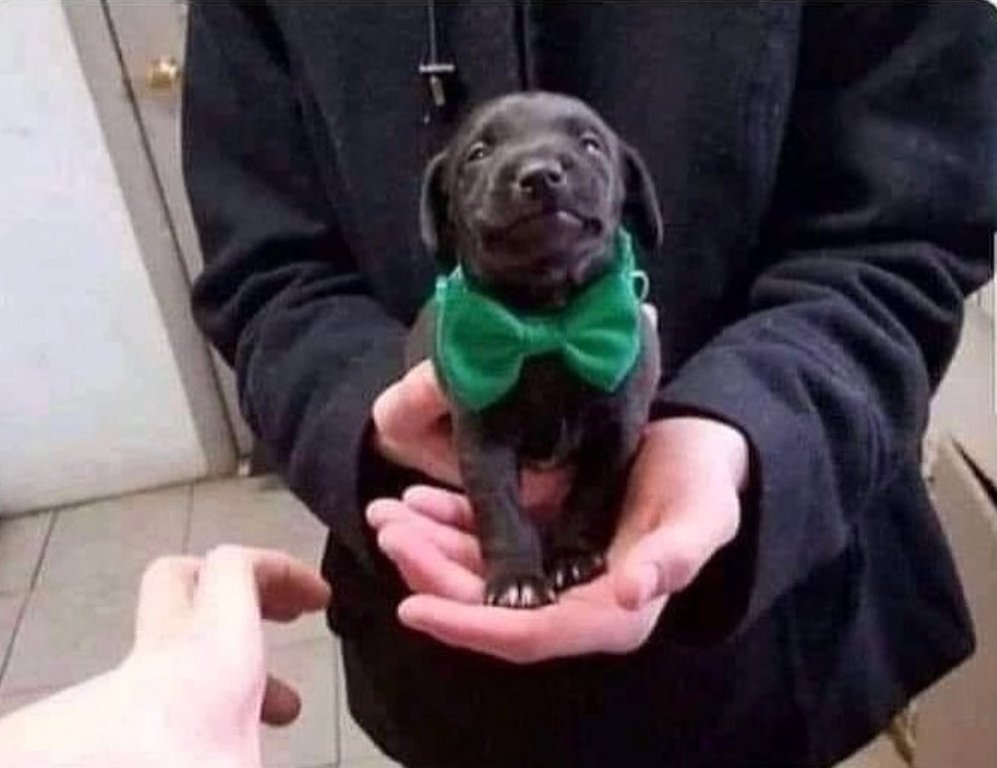 Comuna Deusa 🚩💃🌈 tweet media