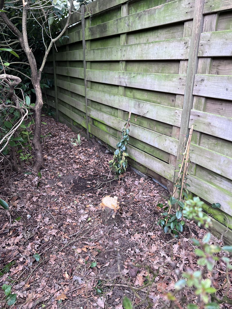 Kijkertje-Lydi@ tweet media