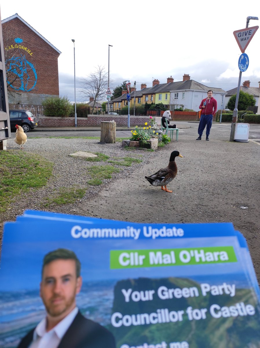 Great reception on the hen house doors in #NorthBelfast #LE23