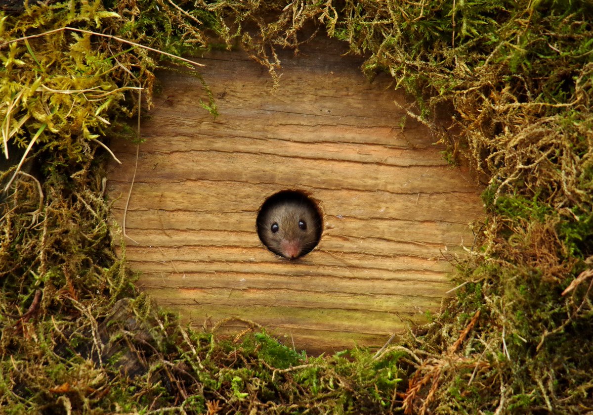 #BBCCountryfileMagPOTD